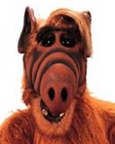 ALF - wallpaper preview