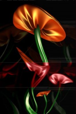 - - wallpaper preview