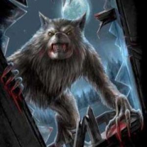 Ilustracja Ataku Wilkołaka