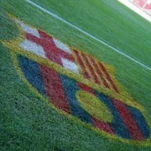 Logo FC Barcelona na Boisku