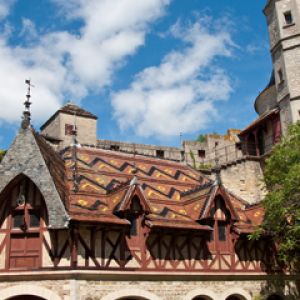 Urokliwy Zamek Historyczny