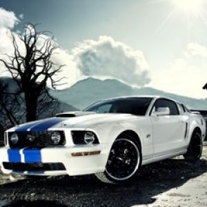 Stylowy Biały Mustang GT