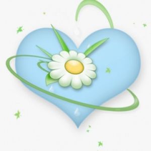 Niebieskie Serce z Margerytką