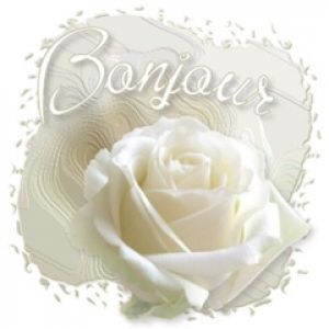 Elegancka Biała Róża z Bonjour