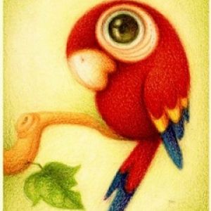 Kolorowa Ilustracja Papugi