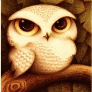 Ilustracja Uroczej Sowy
