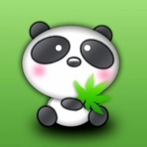 Urocza Panda Trzymająca Liść