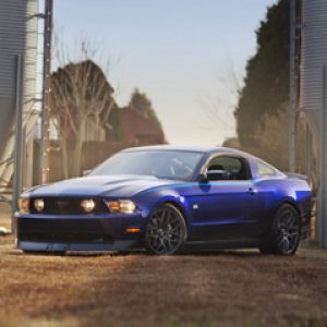 Niebieski Mustang
