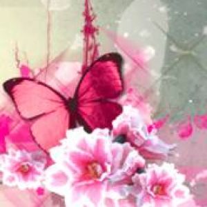 Motyl i Kwiaty