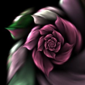 Abstrakcyjny Design Róży