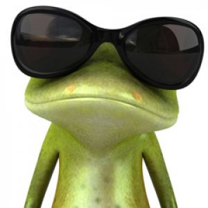 Frog Cool w Okularach Przeciwsłonecznych