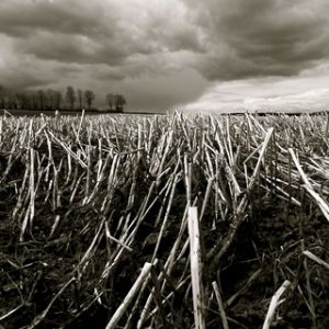 Dramatyczne Niebo Nad Polem