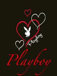 Design Serc Playboy