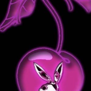Logo Wiśni Playboy