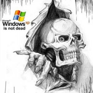 Sztuka Czaszki Windows XP