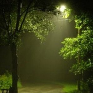 Mgliste Nocne Krajobrazy