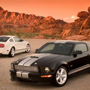 Samochody Mustang na pustyni