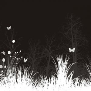 Elegancka Natura w Czarno-Białym