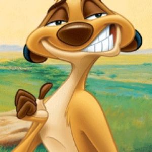 Timon z Króla Lwa