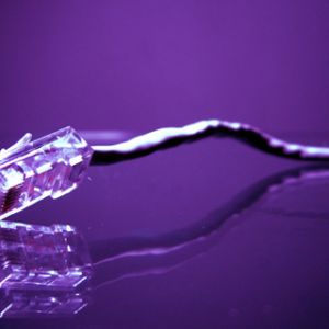 Fioletowy Kabel Ethernet
