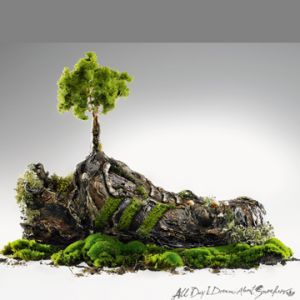 Miniaturowe drzewo na skale