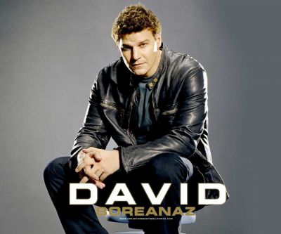 David Boreanaz w Skórzanej Kurtce - wallpaper preview