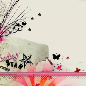 Sztuka Bleeding Star Clothing