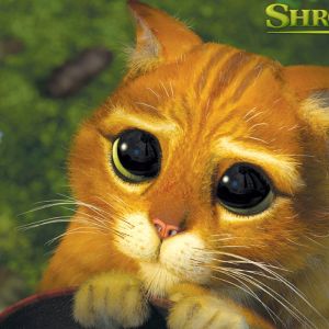 Kot w butach z Shreka