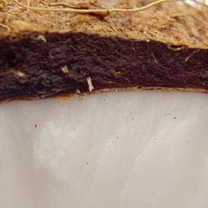 Naturalna Tekstura Gleby i Skały