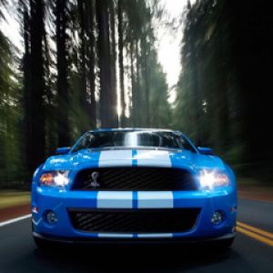 Niebieski Shelby Mustang na Drodze