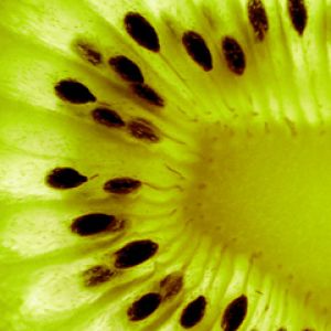 Zbliżenie Kiwi