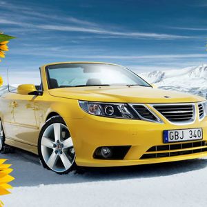 Żółty Kabriolet w Naturze