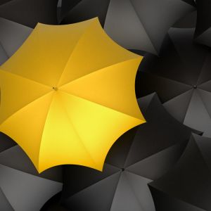 Żółty Parasol na Czarnym Tle