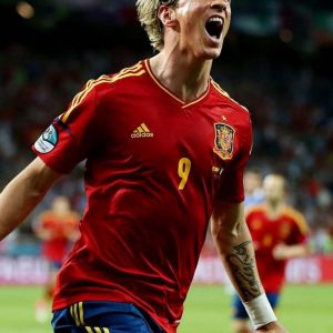 Fernando Torres Świętujący Gol