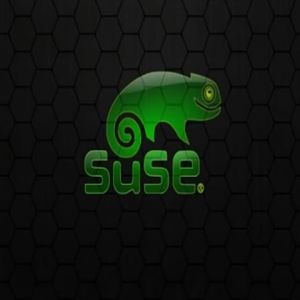 Tapeta z Logo SUSE