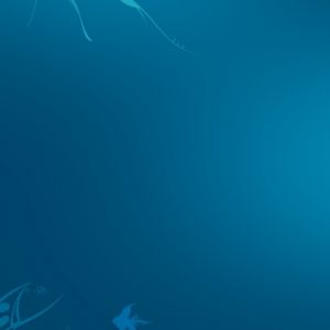 Sztuka Abstrakcyjna Oceaniczna