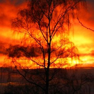 Zachwycająca Sylwetka Zachodu Słońca