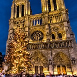 Katedra Notre Dame w Boże Narodzenie