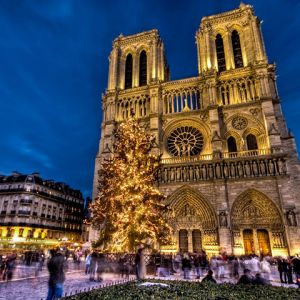 Katedra Notre Dame w Boże Narodzenie