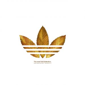 Kolekcja Jesienna Adidas