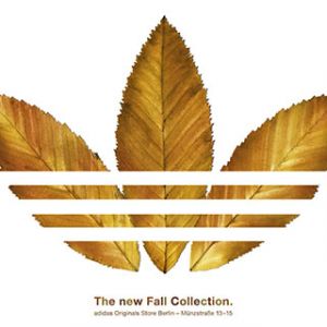 Jesienna Kolekcja Adidas
