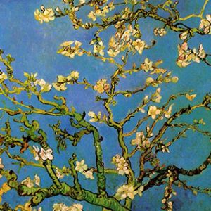 Kwiat Migdałowca Vincenta van Gogha
