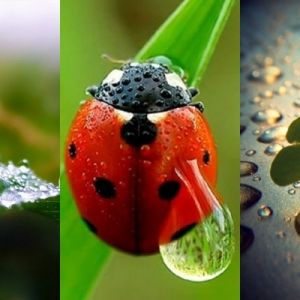 Natura i Biedronka Z Bliska
