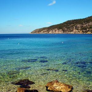 Spokojny Widok na Ocean
