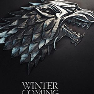 Zima nadchodzi - Stark