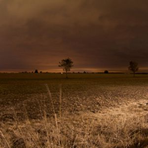 Spokojny Krajobraz Nocny
