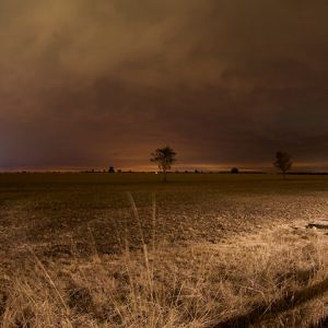 Spokojny Krajobraz Nocny