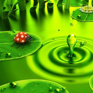 Zielone Krople Wody w Naturze