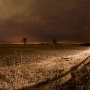 Spokojny Krajobraz Nocny