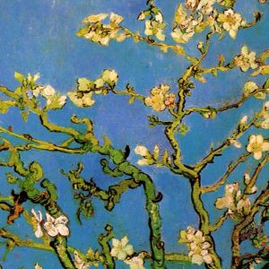 Kwiat Migdałowy Van Gogha